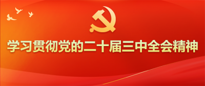 学习贯彻党的二十届三中全会精神